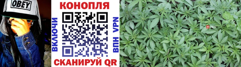Наркота Магадан МАРИХУАНА  Меф мяу мяу  Codein  Псилоцибиновые грибы  Гашиш  A-PVP 