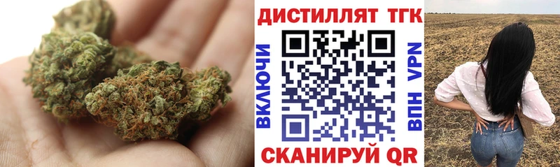ТГК концентрат где продают omg зеркало Магадан
