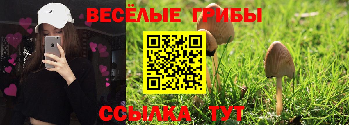 Галлюциногенные грибы Psilocybe  Псилоцибиновые грибы GOLDEN TEACHER  Магадан 