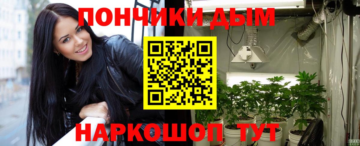 Бошки марихуана планчик Магадан